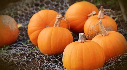 唐忆鲁吃瓜,揭秘娱乐圈背后的那些事儿