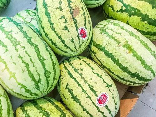 大白瓜做什么吃,探索创意烹饪新境界