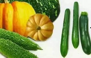 月光光谈吃瓜,揭秘娱乐圈的甜蜜与苦涩