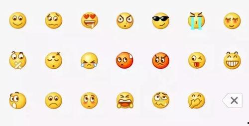 我最喜欢的吃瓜群众,揭秘我最爱的吃瓜群众