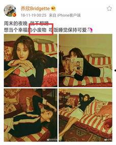 教科书般吃瓜,揭秘娱乐圈幕后真相