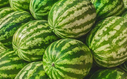 2023在线吃瓜,盘点那些让人笑到肚子疼的瓜料