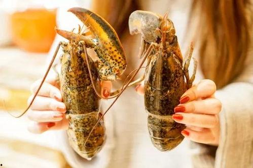 吃瓜小青龙,揭秘娱乐圈幕后故事