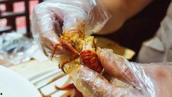 什么虾吃小瓜虫,探究虾类捕食小瓜虫的生态奥秘