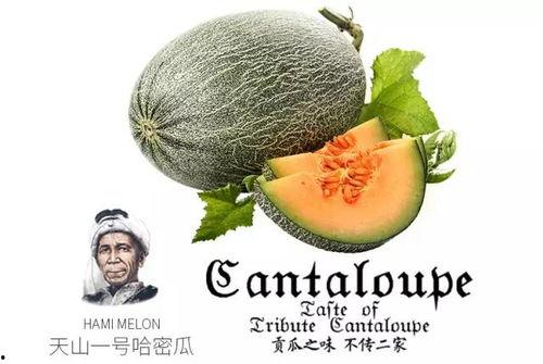 在线吃瓜号,揭秘热门事件背后的真相与笑料