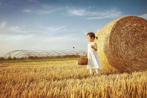 麦田拍照吃瓜,拍照吃瓜，解锁夏日田园新玩法