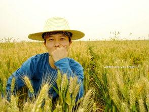 麦田拍照吃瓜,拍照吃瓜，解锁夏日田园新玩法