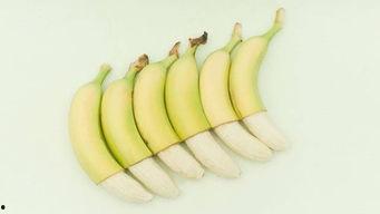 小香蕉吃瓜,小香蕉的夏日吃瓜之旅