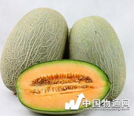 吃哈密瓜的忌讳