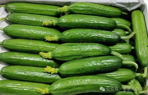 立夏后吃三瓜,三瓜养生正当时