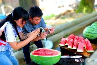 梦到地里摘瓜吃,地里摘瓜的奇幻之旅