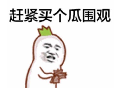 吃瓜表情怎么放大,揭秘网络热梗背后的趣味与魅力