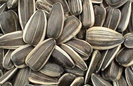 葵瓜孩子怎么吃,营养美味，健康成长的必备佳肴