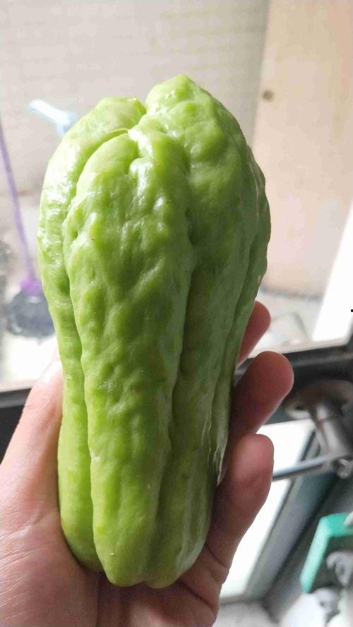 葵瓜孩子怎么吃,营养美味，健康成长的必备佳肴