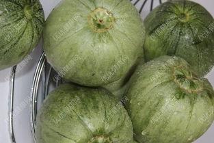 孕妇吃瓜篓子好吗,孕妇适量吃瓜篓子有益健康