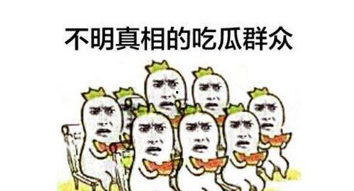 每月吃瓜群众反应,热点事件背后的舆论风向