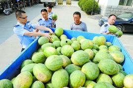 潢川吃瓜事情真相,真相与反思