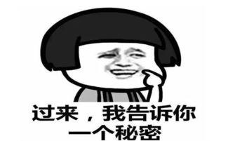 你们吃这个瓜没有,揭秘“吃瓜”背后的真相与趣味