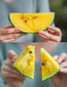 杀雕吃瓜,揭秘古代奇案背后的真相与传奇