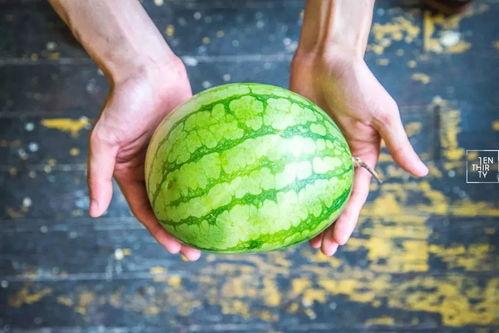 杀雕吃瓜,揭秘古代奇案背后的真相与传奇