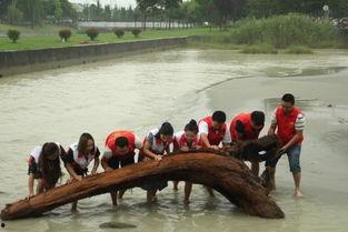 都江堰党员吃瓜