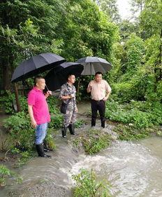 都江堰党员吃瓜