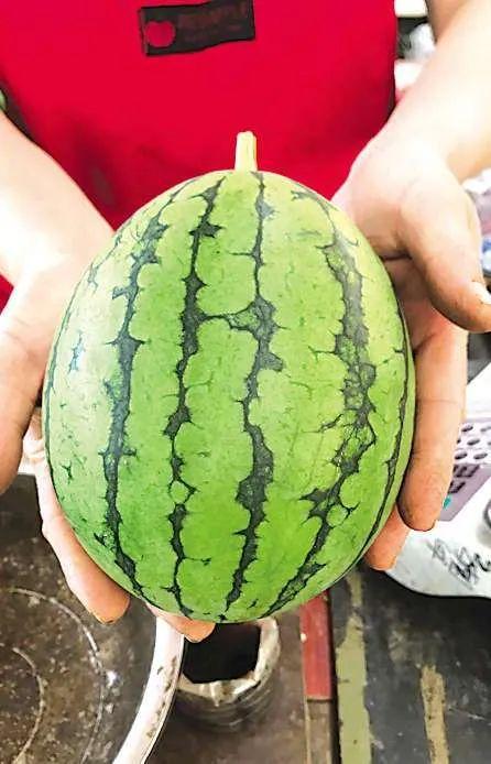 呼和浩特吃瓜事件最近