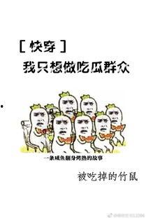 到处吃瓜快穿,快穿世界的奇妙之旅