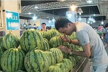 吃高端瓜,高端瓜果的尊享之旅