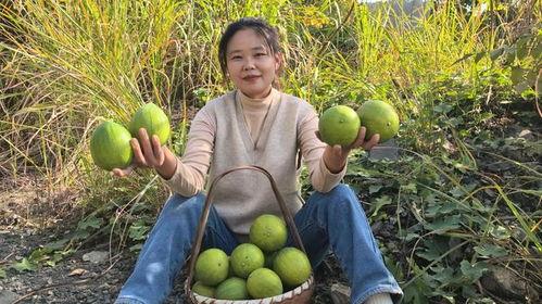 吊瓜仔怎么吃,探索美味与营养的完美结合