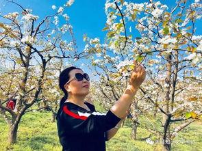 炎夏吃瓜 散文,炎炎夏日，瓜果飘香，清凉一夏