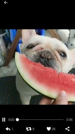 聊天路上吃瓜群众,聊天路上的那些八卦风云