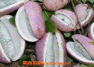 八月瓜和什么菜一起吃