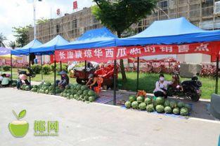 银行吃瓜节宣传,吃瓜节盛宴，金融乐享不停